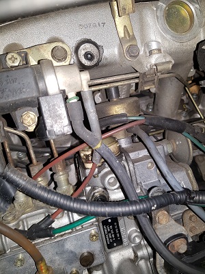 의미없는 이미지